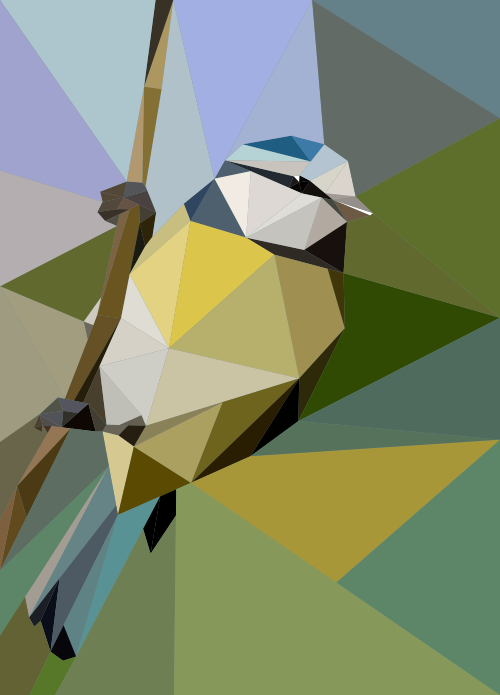 sikorka rysunek ptaka w stylu low poly w CorelDraw