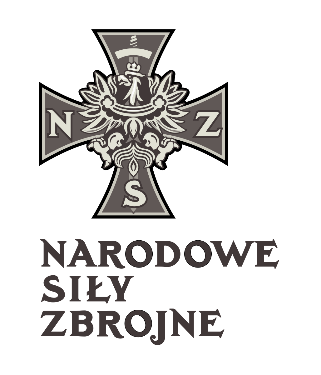 Narodowe Siły Zbrojne krzyż odznaka 
